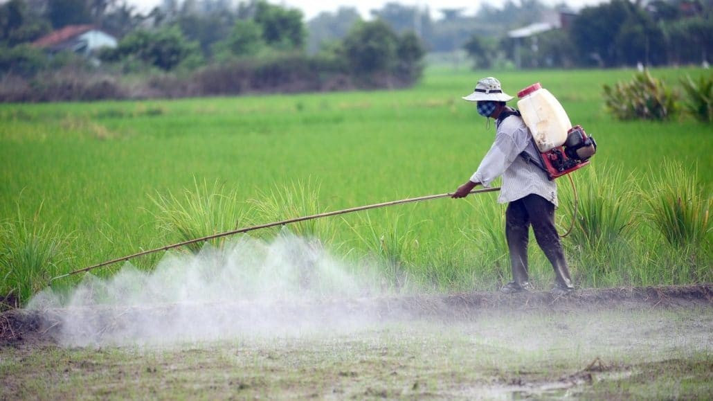 Lý thuyết Địa lí 10 Bài 14: Đất trên Trái Đất - Kết nối tri thức  (ảnh 1)