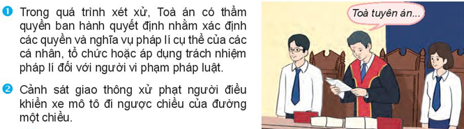 Pháp luật 10 Bài 13: Thực hiện pháp luật | Kết nối tri thức (ảnh 5)