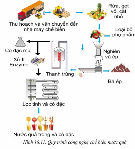 Công nghệ 10 Bài 18: Ứng dụng công nghệ cao trong thu hoạch, bảo quản và chế biến sản phẩm trồng trọt | Cánh diều (ảnh 11)