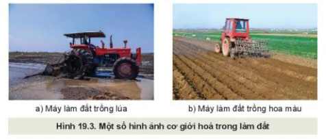 Lý thuyết Công Nghệ 10 Bài 19: Quy trình trồng trọt và cơ giới hóa trong trồng trọt - Kết nối tri thức (ảnh 1)