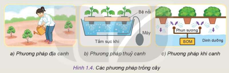 Công nghệ 10 Bài 1: Công nghệ và đời sống | Kết nối tri thức (ảnh 7)