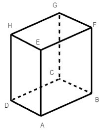 TOP 15 câu Trắc nghiệm Hình hộp chữ nhật – Hình lập phương có đáp án - Toán lớp 7 Chân trời sáng tạo (ảnh 1)