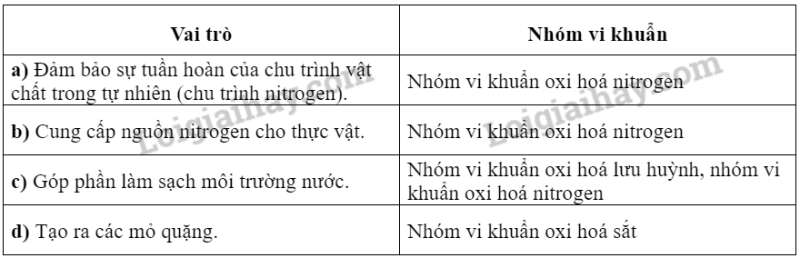 Sinh học 10 Bài 15: Tổng hợp các chất và tích lũy năng lượng | Giải Sinh 10 Chân trời sáng tạo (ảnh 7)