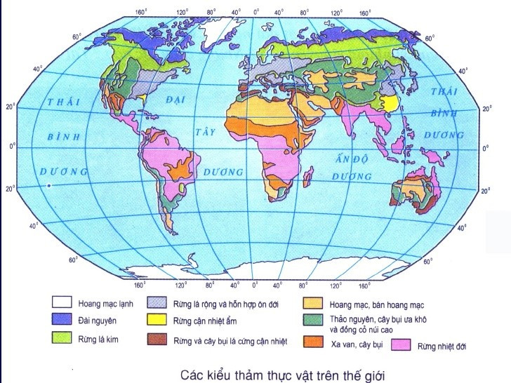 Lý thuyết Địa lí 10 Bài 15: Quy luật địa đới và phi địa đới - Cánh diều (ảnh 1)