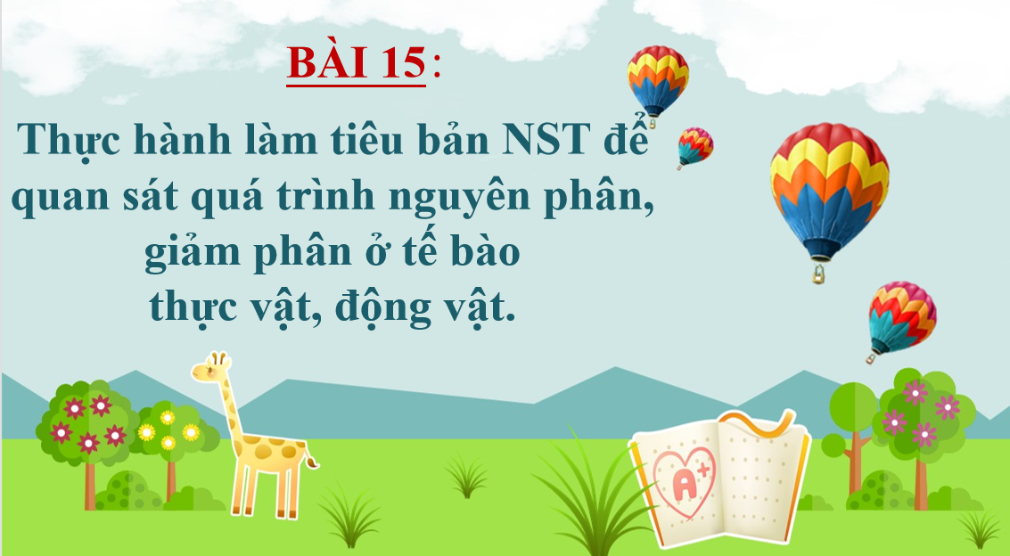 Giáo án điện tử Thực hành làm tiêu bản nhiễm sắc thể để quan sát quá trình nguyên phân, giảm phân ở tế bào  | Bài giảng PPT Sinh học 10 (ảnh 1)