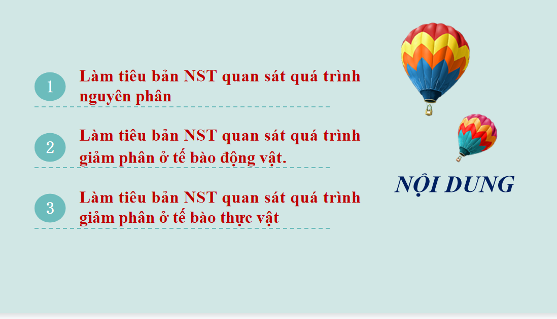 Giáo án điện tử Thực hành làm tiêu bản nhiễm sắc thể để quan sát quá trình nguyên phân, giảm phân ở tế bào  | Bài giảng PPT Sinh học 10 (ảnh 1)