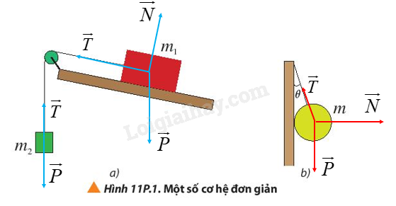 Vật Lí 10 Bài 11: Một số lực trong thực tiễn | Giải Lí 10 Chân trời sáng tạo (ảnh 16)