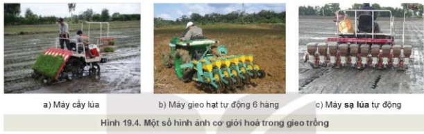 Lý thuyết Công Nghệ 10 Bài 19: Quy trình trồng trọt và cơ giới hóa trong trồng trọt - Kết nối tri thức (ảnh 1)