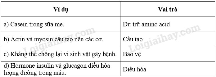 Sinh học 10 Bài 6: Các phân tử sinh học trong tế bào | Giải Sinh 10 Chân trời sáng tạo (ảnh 9)