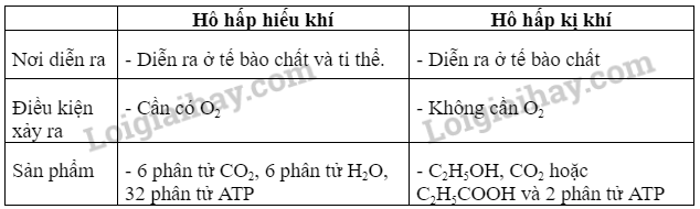 Sinh học 10 Bài 16: Phân giải các chất và giải phóng năng lượng | Giải Sinh 10 Chân trời sáng tạo (ảnh 2)