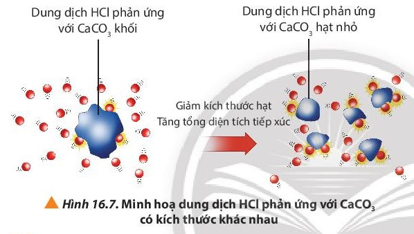 Lý thuyết Hóa học 10 Bài 16: Các yếu tố ảnh hưởng đến tốc độ phản ứng hóa học - Chân trời sáng tạo (ảnh 1)