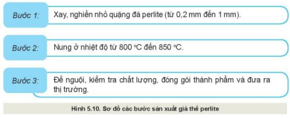 Lý thuyết Công Nghệ 10 Bài 5: Giá thể trồng cây - Kết nối tri thức (ảnh 1)