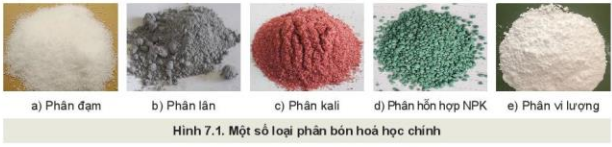 Lý thuyết Công Nghệ 10 Bài 7: Giới thiệu về phân bón - Kết nối tri thức (ảnh 1)