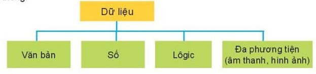 Lý thuyết Tin học 10 Bài 3: Một số kiểu dữ liệu và dữ liệu văn bản - Kết nối tri thức  (ảnh 1)