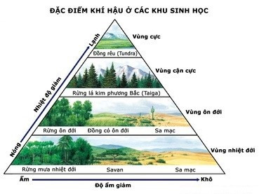 Lý thuyết Bài 15: Sinh quyền, các nhận tố ảnh hướng đến sự phát triển và phân bố của sinh vật - Chân trời sáng tạo (ảnh 1)