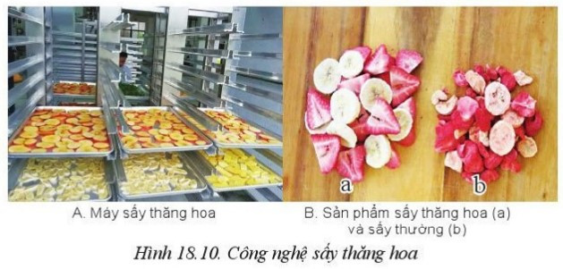 Lý thuyết Công nghệ 10 Bài 18: Ứng dụng công nghệ cao trong thu hoạch, bảo quản và chế biến sản phẩm trồng trọt - Cánh diều  (ảnh 1)