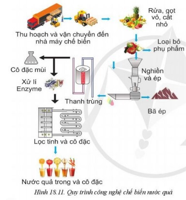 Lý thuyết Công nghệ 10 Bài 18: Ứng dụng công nghệ cao trong thu hoạch, bảo quản và chế biến sản phẩm trồng trọt - Cánh diều  (ảnh 1)