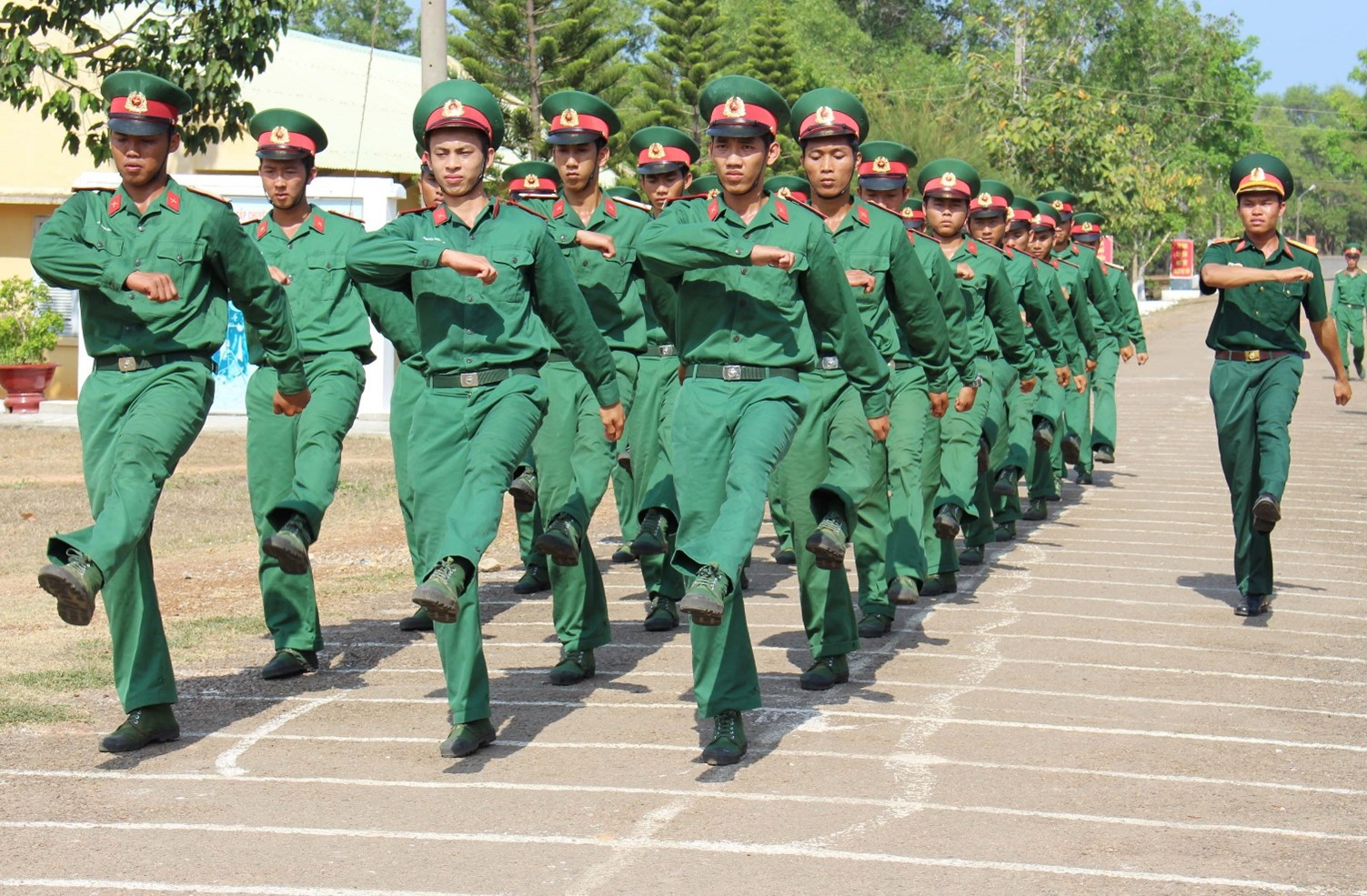 Lý thuyết GDQP 10 Bài 2: Đội ngũ từng người không có súng - Cánh diều (ảnh 1)