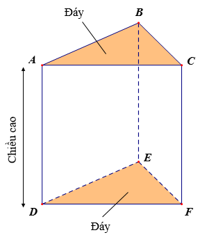 Lý thuyết Hình lăng trụ đứng tam giác. Hình lăng trụ đứng tứ giác (Lý thuyết + Bài tập toán lớp 7) – Chân trời sáng tạo (ảnh 1)
