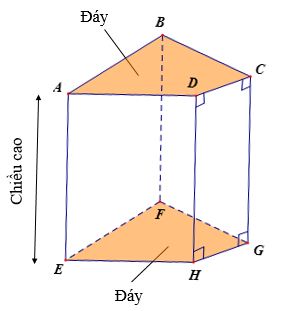 Lý thuyết Hình lăng trụ đứng tam giác. Hình lăng trụ đứng tứ giác (Lý thuyết + Bài tập toán lớp 7) – Chân trời sáng tạo (ảnh 1)