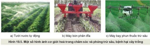 Lý thuyết Công Nghệ 10 Bài 19: Quy trình trồng trọt và cơ giới hóa trong trồng trọt - Kết nối tri thức (ảnh 1)