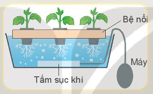 Công nghệ 10 Bài 1: Công nghệ và đời sống | Kết nối tri thức (ảnh 9)