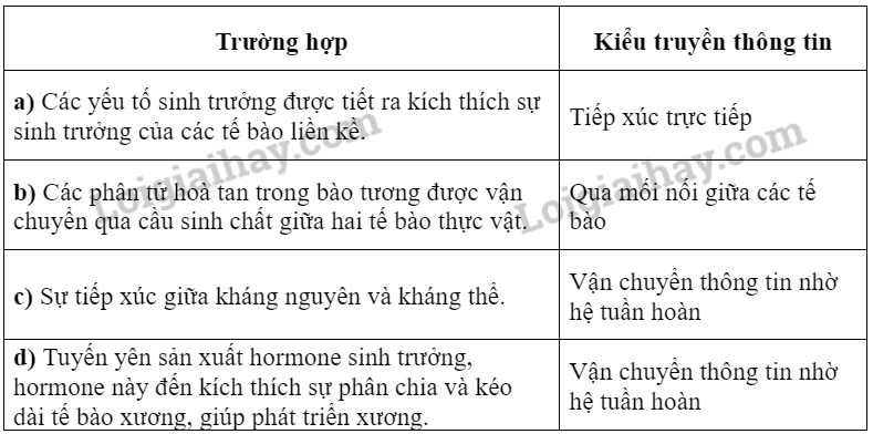 Sinh học 10 Bài 17: Thông tin giữa các tế bào | Giải Sinh 10 Chân trời sáng tạo (ảnh 2)