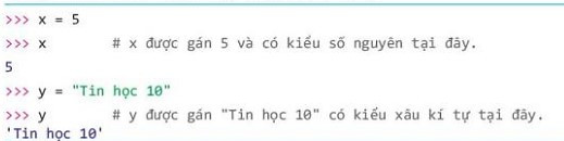 Lý thuyết Tin học 10 Bài 17: Biến và lệnh gán - Kết nối tri thức  (ảnh 1)