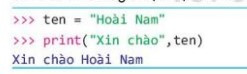 Lý thuyết Tin học 10 Bài 17: Biến và lệnh gán - Kết nối tri thức  (ảnh 1)