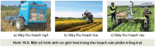 Lý thuyết Công Nghệ 10 Bài 19: Quy trình trồng trọt và cơ giới hóa trong trồng trọt - Kết nối tri thức (ảnh 1)