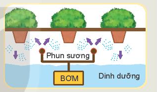 Công nghệ 10 Bài 1: Công nghệ và đời sống | Kết nối tri thức (ảnh 10)