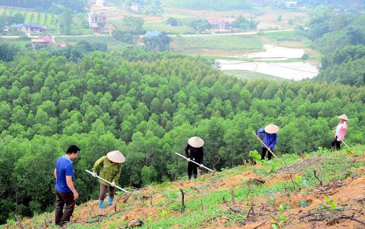 Lý thuyết Địa lí 10 Bài 21: Địa lí các ngành nông nghiệp, lâm nghiệp, thủy sản - Cánh diều (ảnh 1)