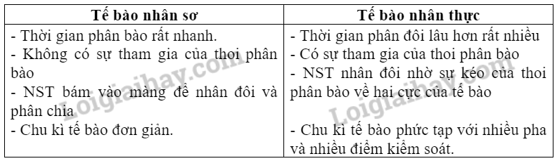 Sinh học 10 Bài 18: Chu kì tế bào | Giải Sinh 10 Chân trời sáng tạo (ảnh 7)