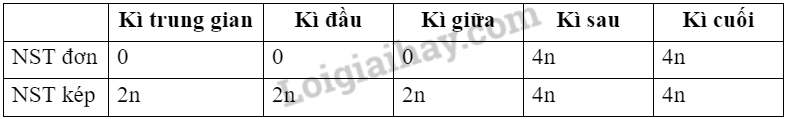 Sinh học 10 Bài 19: Quá trình phân bào | Giải Sinh 10 Chân trời sáng tạo (ảnh 12)