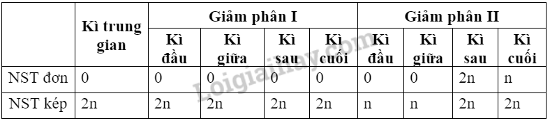 Sinh học 10 Bài 19: Quá trình phân bào | Giải Sinh 10 Chân trời sáng tạo (ảnh 13)