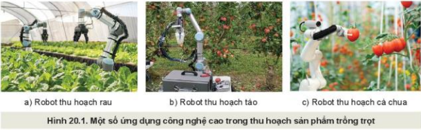 Lý thuyết Công Nghệ 10 Bài 20: Công nghệ cao trong thu hoạch và bảo quản sản phẩm trồng trọt - Kết nối tri thức (ảnh 1)