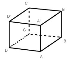 TOP 15 câu Trắc nghiệm Hình hộp chữ nhật – Hình lập phương có đáp án - Toán lớp 7 Chân trời sáng tạo (ảnh 1)