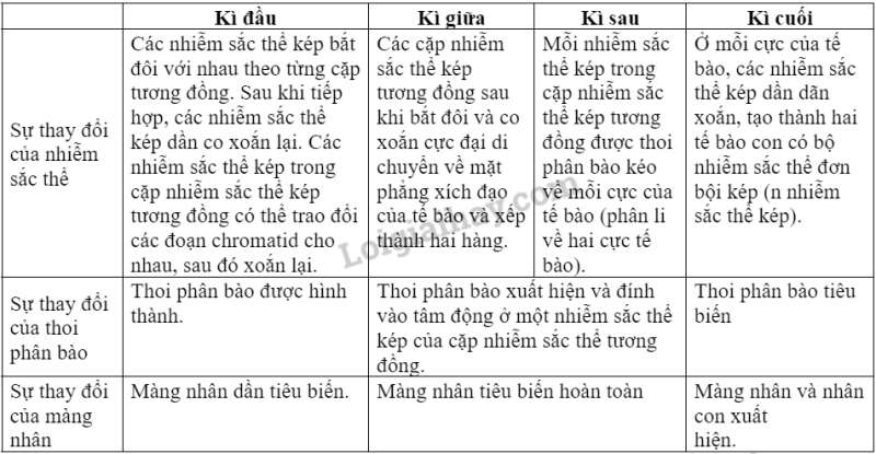 Sinh học 10 Bài 19: Quá trình phân bào | Giải Sinh 10 Chân trời sáng tạo (ảnh 10)