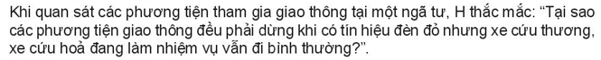 Pháp luật 10 Bài 11: Khái niệm, đặc điểm và vai trò của pháp luật | Kết nối tri thức (ảnh 10)