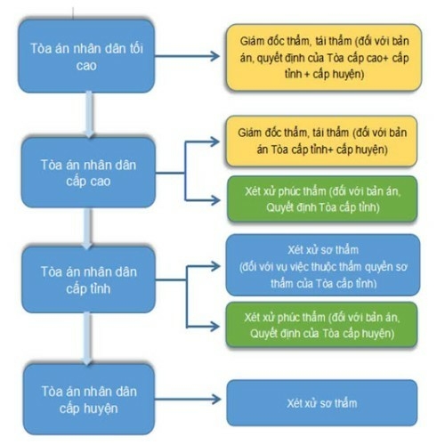 Pháp luật 10 Bài 15: Tòa án nhân dân và Viện kiểm sát nhân dân | Chân trời sáng tạo (ảnh 12)