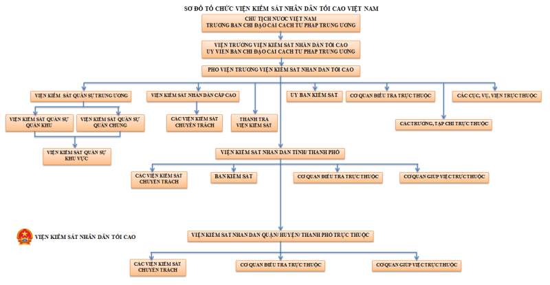 Pháp luật 10 Bài 15: Tòa án nhân dân và Viện kiểm sát nhân dân | Chân trời sáng tạo (ảnh 13)