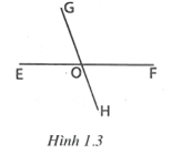 Hai góc đối đỉnh hình học lớp 7 (ảnh 5)