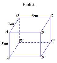 Bộ Đề thi Toán lớp 8 Học kì 2 năm 2021 - 2022 (15 đề) (ảnh 2)