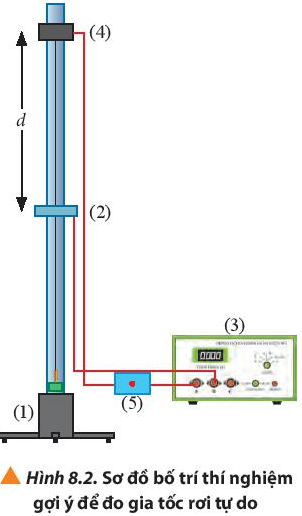 Vật Lí 10 Bài 8: Thực hành đo gia tốc rơi tự do | Giải Lí 10 Chân trời sáng tạo (ảnh 2)