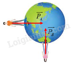 Vật Lí 10 Bài 11: Một số lực trong thực tiễn | Giải Lí 10 Chân trời sáng tạo (ảnh 2)