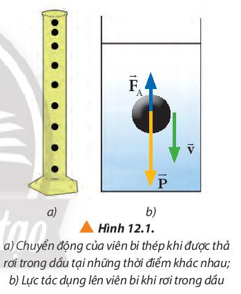Vật Lí 10 Bài 12: Chuyển động của vật trong chất lưu | Giải Lí 10 Chân trời sáng tạo (ảnh 2)