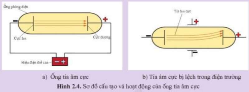  (ảnh 13)