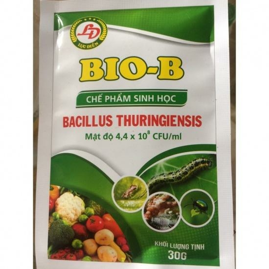 Công nghệ 10 Bài 18: Ứng dụng công nghệ vi sinh trong phòng trừ sâu, bệnh hại cây trồng | Kết nối tri thức (ảnh 2)