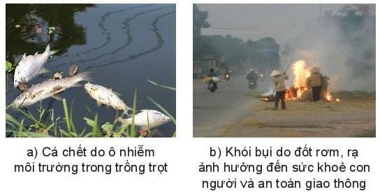 Công nghệ 10 Bài 26: Sự cần thiết phải bảo vệ môi trường trong trồng trọt | Kết nối tri thức (ảnh 2)