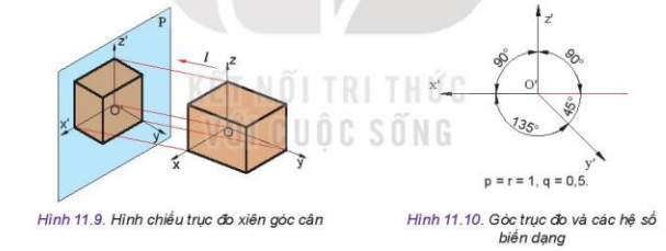 Lý thuyết Công Nghệ 10 Bài 11: Hình chiếu trục đo - Kết nối tri thức (ảnh 1)